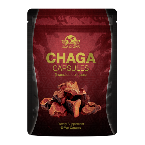 Chaga Cápsulas